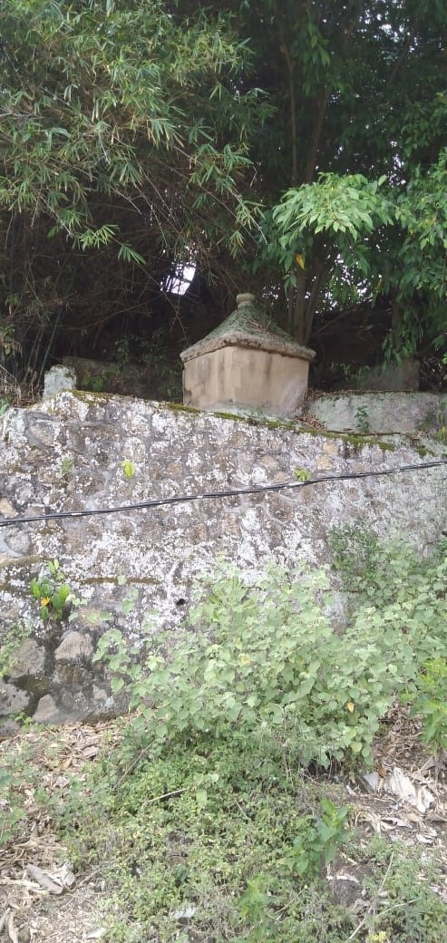 foto Sarkofagus Batu Parholian Turnip